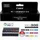 Canon Pfi-300 Lucia Pro Ink, 10 Ink Tanks, Compatible To Imageprograf Pro-300 Pr